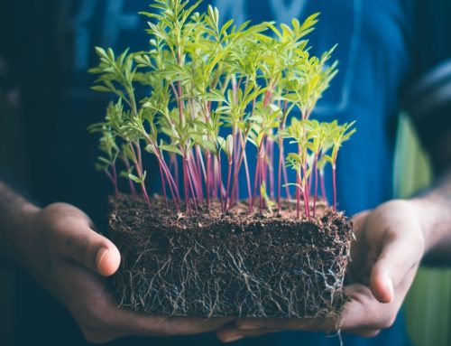 Growth Isn’t Linear: Why Healing Looks Different for Everyone